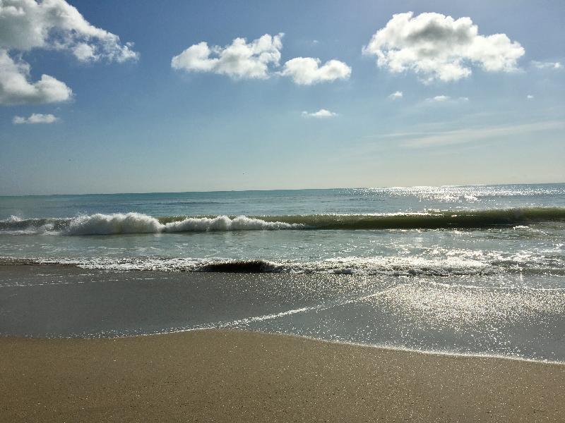Hollywood Beach Marriott Zewnętrze zdjęcie